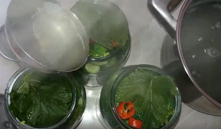 Again, fill the cans with cucumbers with boiling water and leave to stand under the lids.