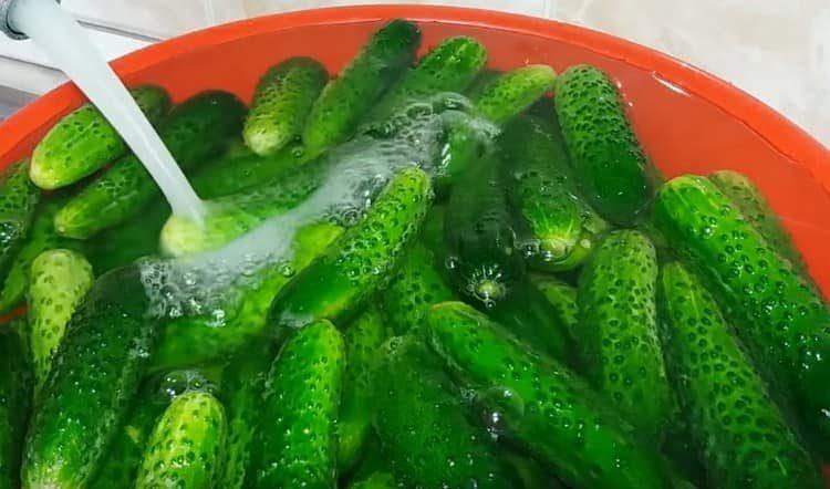 cucumbers must first be soaked in water.