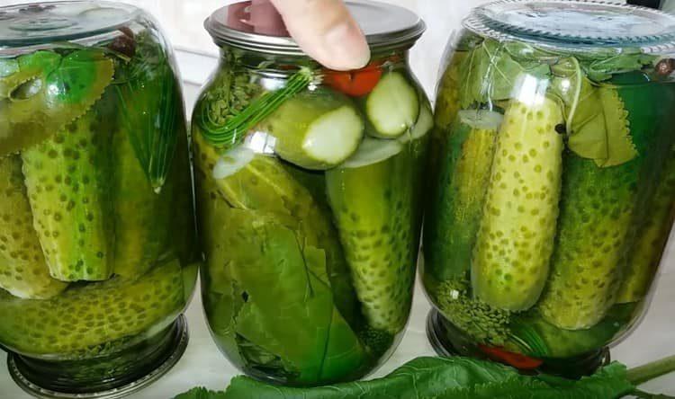 As you can see, pickling cucumbers in liter jars is not so difficult.