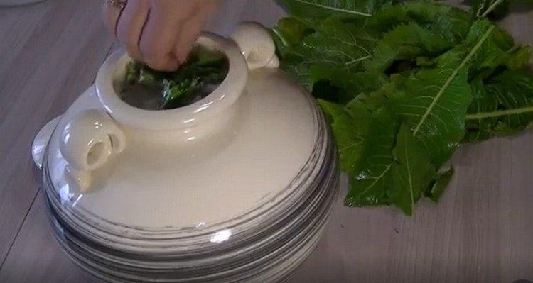 On top of tomatoes, spread horseradish leaves.