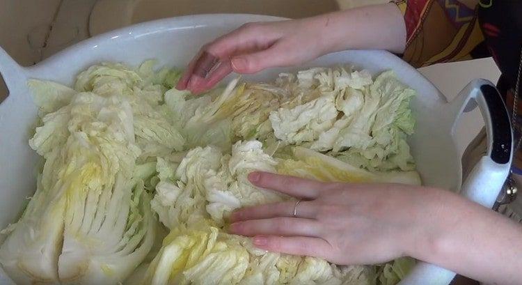 Put the salted cabbage in a bowl.
