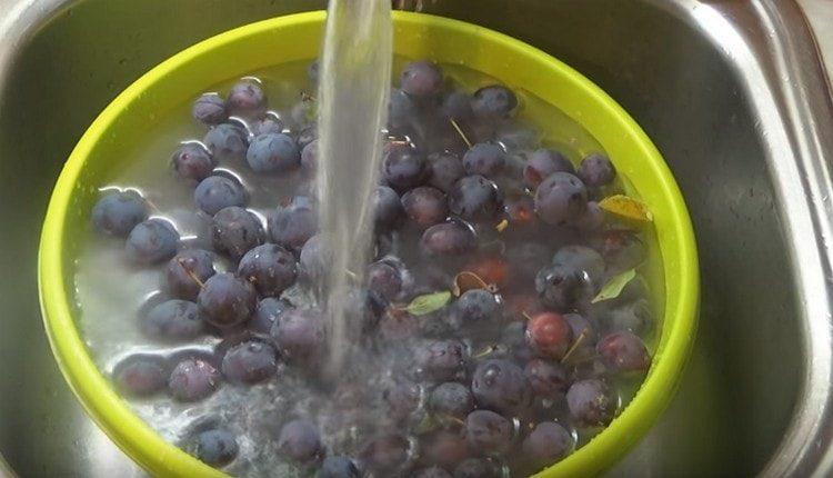 Rincer les prunes à fond.