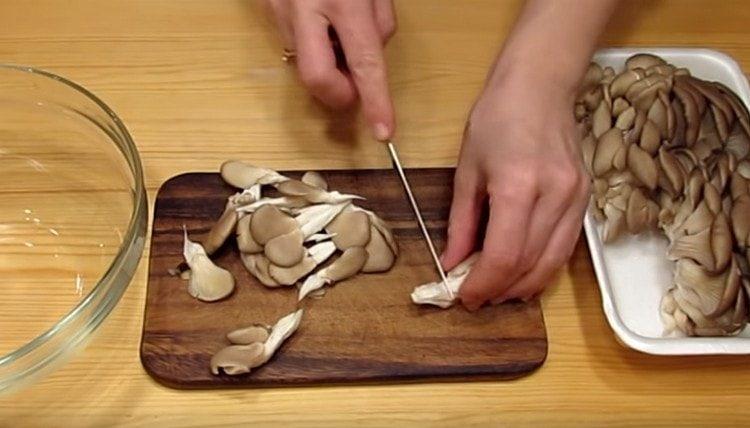 At oyster mushroom we cut off thick legs.