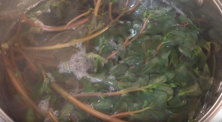 Purslane mis dans l'eau bouillante.