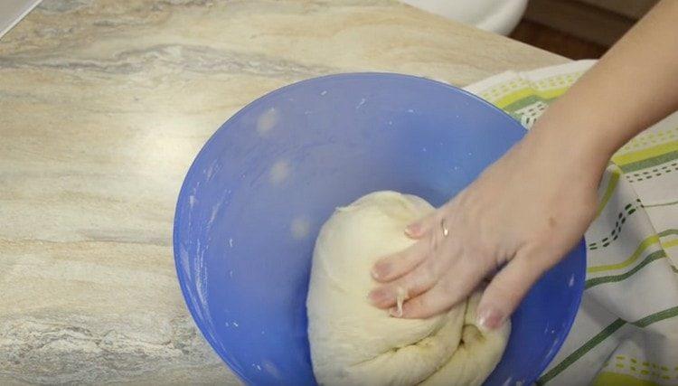 We knead the dough and again let it rise.