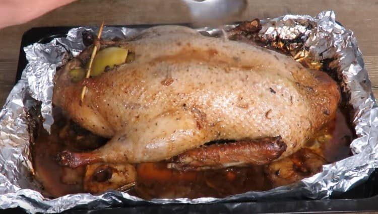 Nous versons le canard avec de la graisse et le mettons au four sans papier d'aluminium.