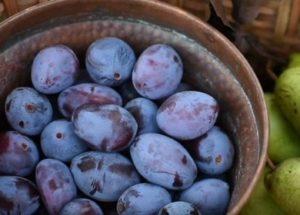 Que faire cuire des prunes: deux recettes simples avec des photos.