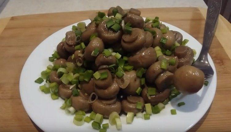 Such pickled instant mushrooms at home is not at all difficult to do.