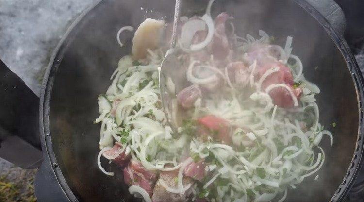 Mezclar la carne con cebolla y hierbas.