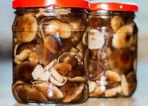 Harvesting mushrooms for the winter - how to pickle