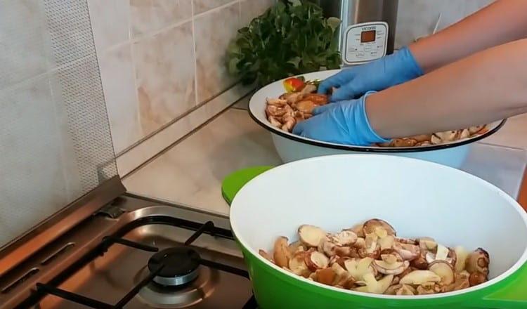 mettre les champignons dans une casserole.