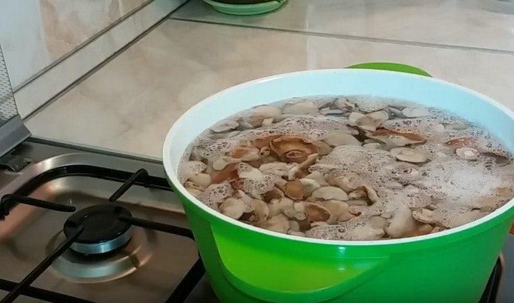 Encore une fois, remplissez les champignons avec de l'eau et mettez à cuire.