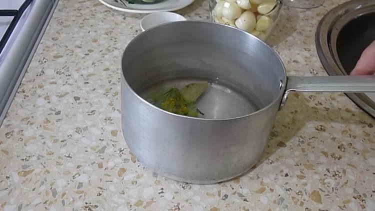 dans une casserole, mélanger l'eau, l'aneth et le sel