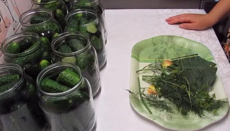 put cucumbers in a jar