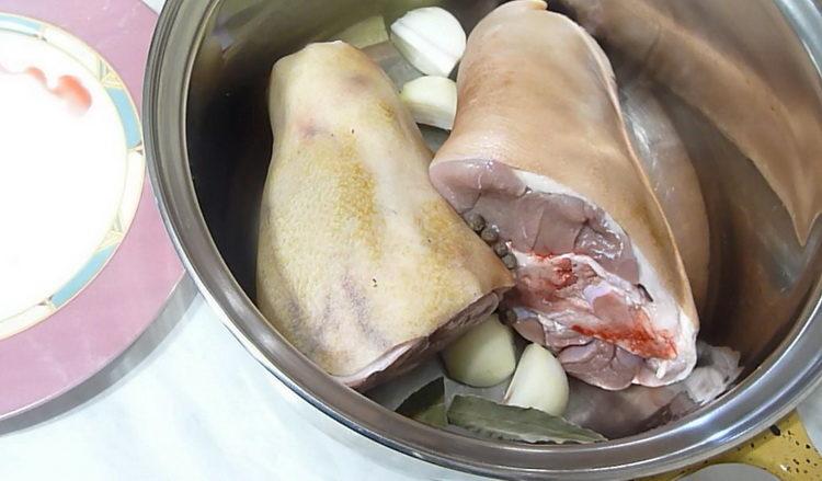 Cooking jellied recipe from pork shank