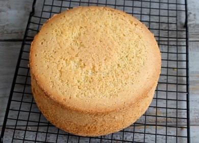 Delicate, lush and simple  cake sponge cake