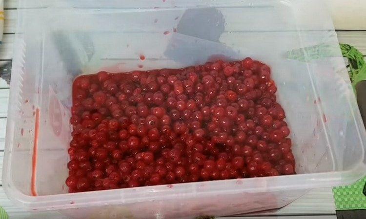 We shift the berries into a convenient deep container.