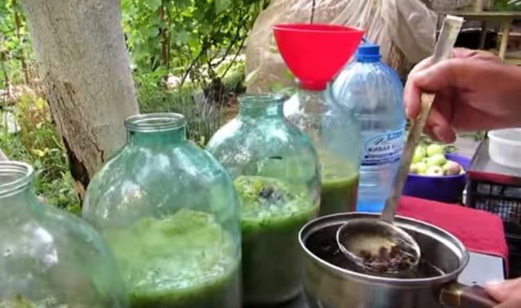 préparez à l'avance le levain à base de sucre, d'eau et de raisins secs.