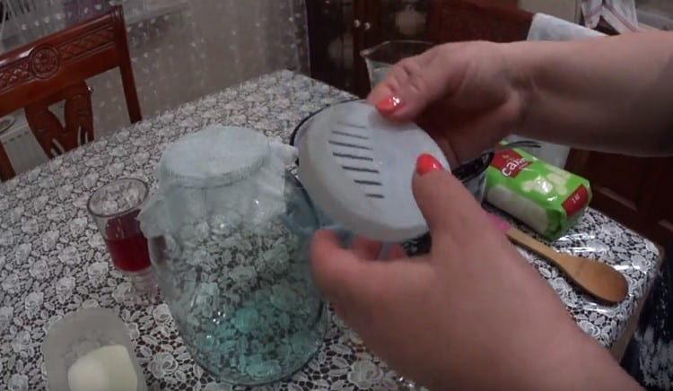 cover the jar with gauze and a lid with holes.