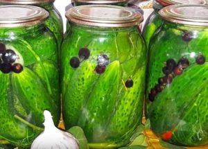 Preservation of cucumbers at home: recipe without sterilization, step by step photos.