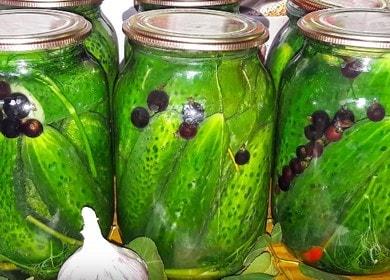 Preserving cucumbers for the winter  - quick and tasty