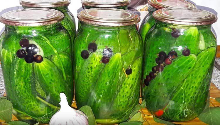 As you can see, preserving cucumbers is easy.