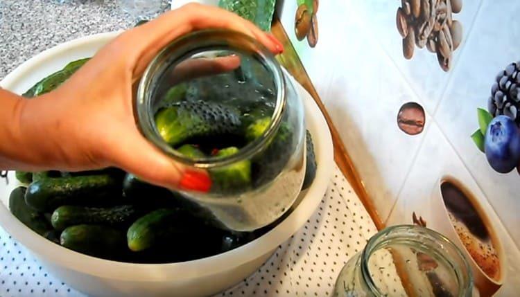we put cucumbers in jars.