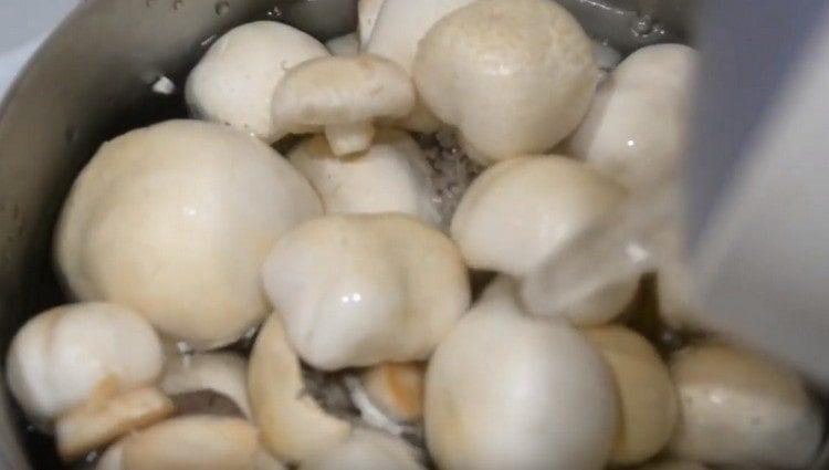 Fill the mushrooms with an ode and cook.