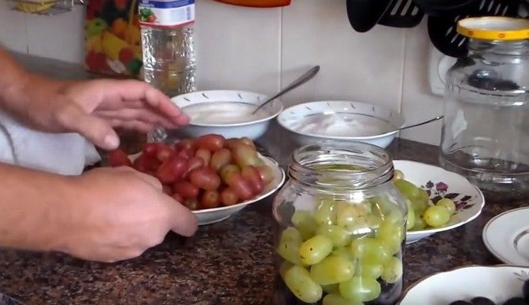Nous répandons les raisins dans des bocaux.