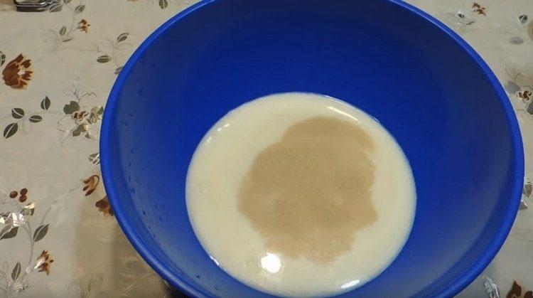 Versez du lait tiède ou un bouillon de pommes de terre dans un bol.