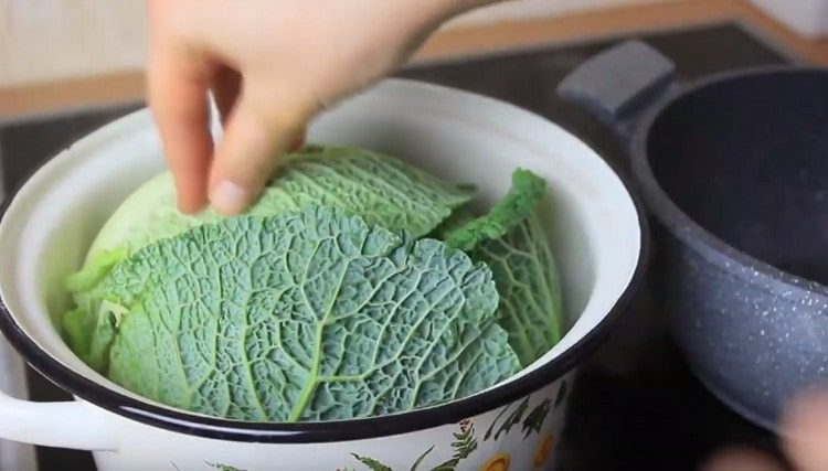 put the cabbage in a pot of boiling water.