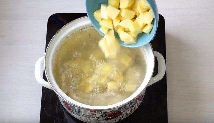 Nous mettons des pommes de terre dans le bouillon.