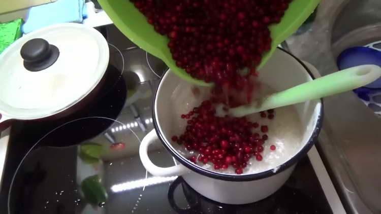 send cranberries to syrup