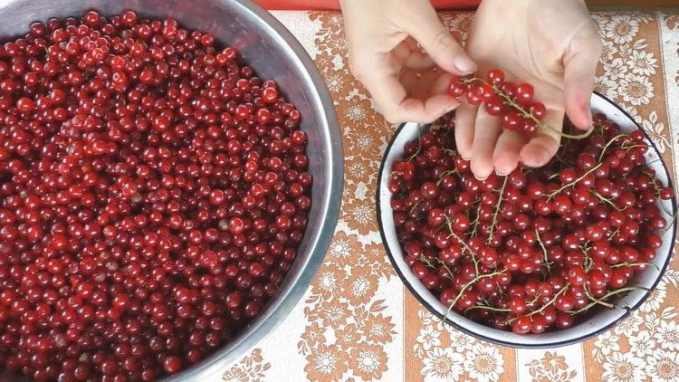 Cooking Red Currant Wine