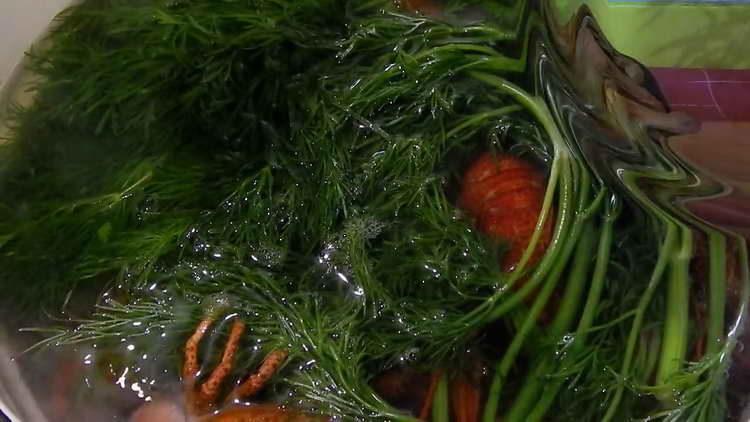 boil crayfish