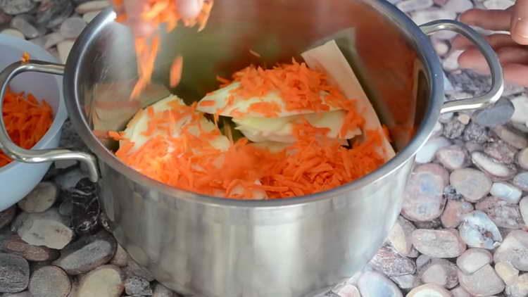 grated carrots spread on cabbage
