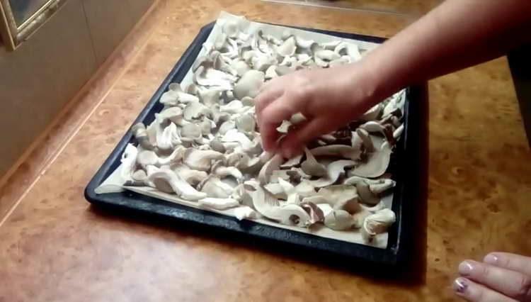 Leg de champignons op een bakplaat