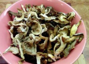 how to dry mushrooms in the oven at home