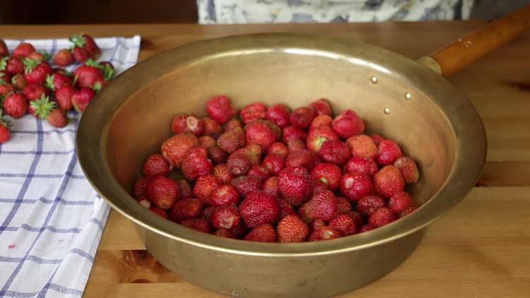 recogiendo fresas