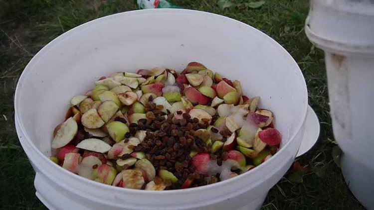 add raisins to apples