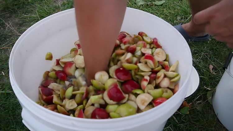 mélanger des pommes avec des raisins