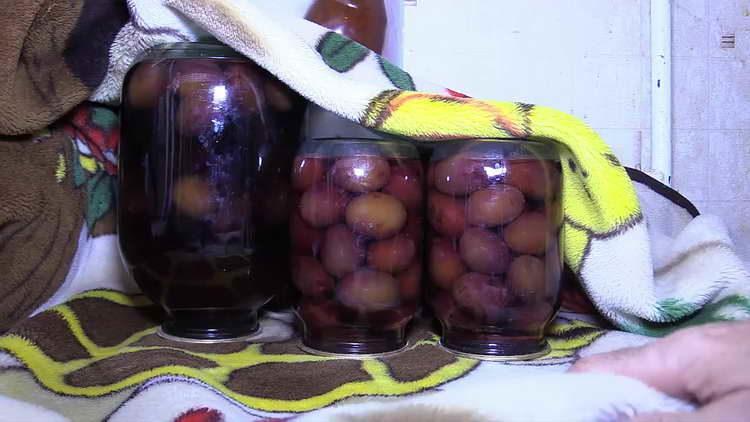 plums in syrup
