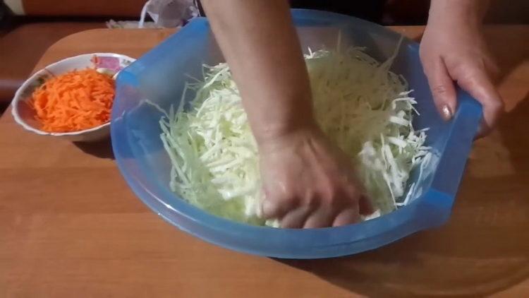 How to prepare daily cabbage, a simple recipe