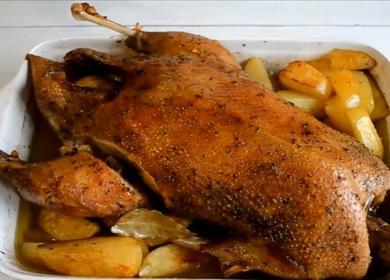 Baked goose with potatoes  and apples in the sleeve, in the oven, whole