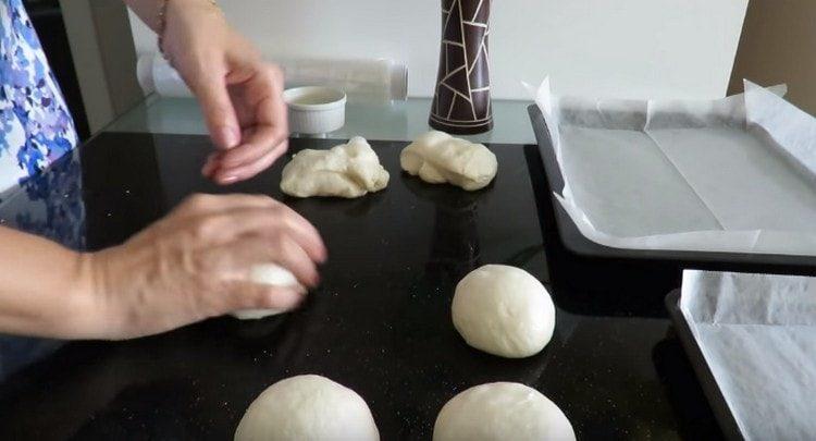 We roll round dough pieces for buns from the dough.