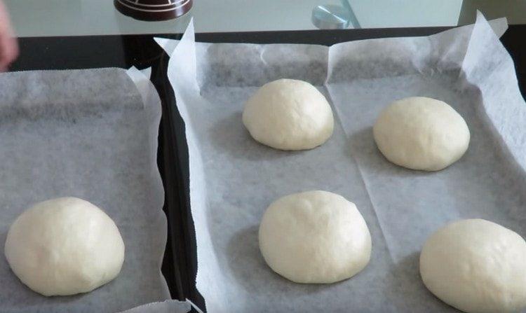 We spread the buns on baking sheets covered with parchment.