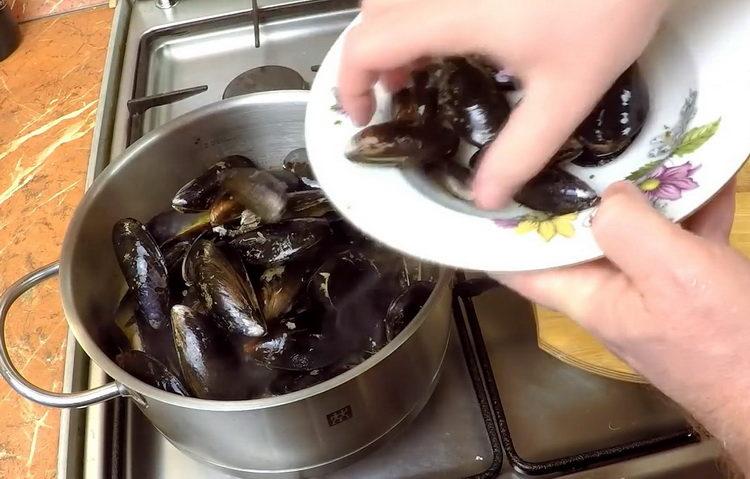 add mussels