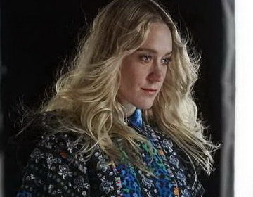 70 most interesting photos of the famous Chloe Sevigny